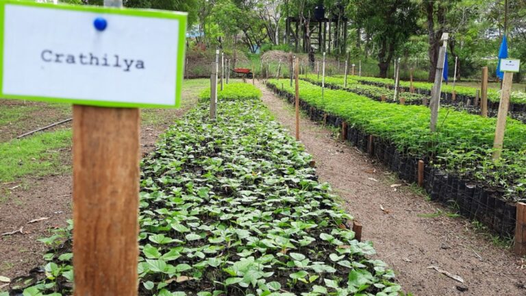 Instalan vivero en Centro Técnico Juan de Dios  en León