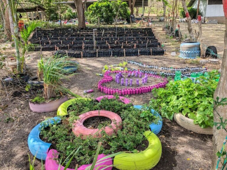 Vivero municipal de Boaco cuenta con  28 mil plantas para reforestar