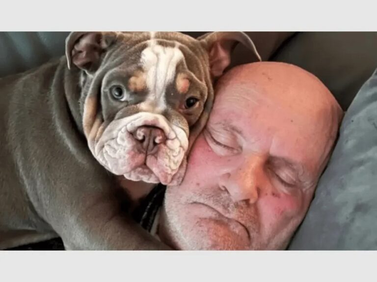 Perro se le come un dedo y le salva la vida