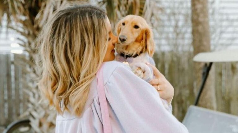 Le llueven críticas al viajar en primera clase con su perrita