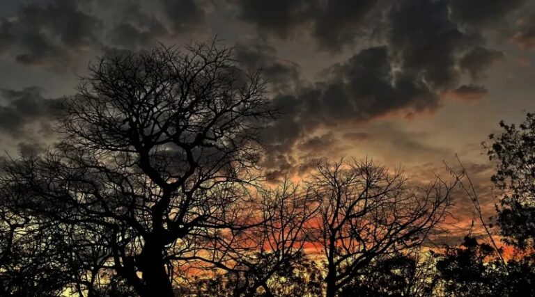 Territorio nicaragüense estará parcialmente nublado