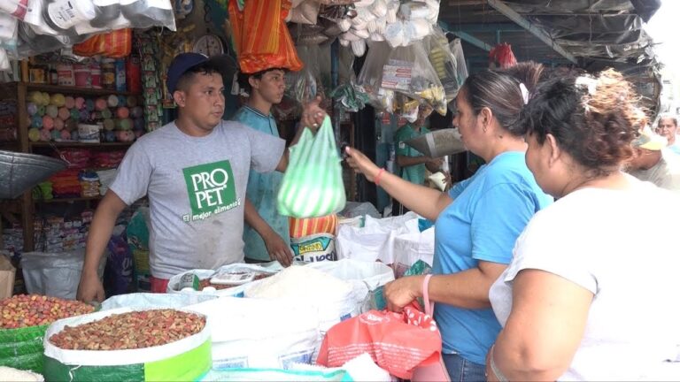 Conozca comportamiento de los precios de la canasta básica