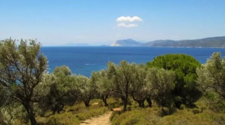 Continuará el ambiente caluroso en Nicaragua