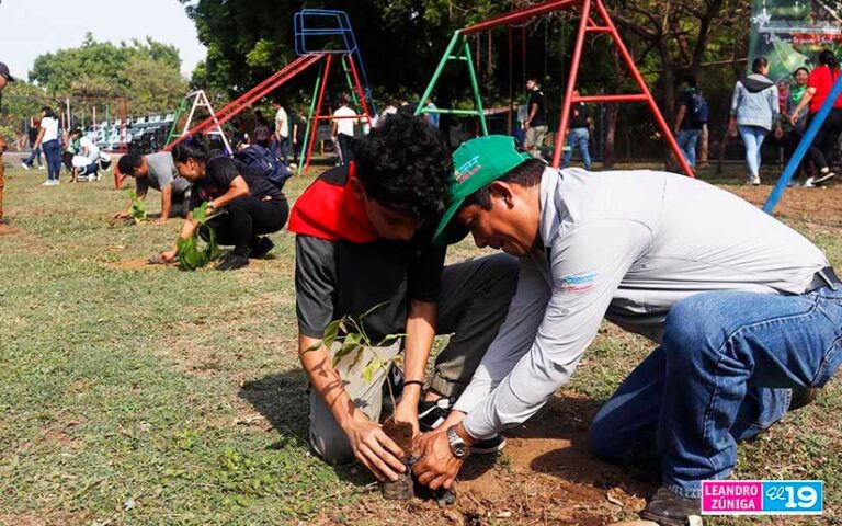 Plantarán 26 millones de árboles durante la Campaña de Reforestación