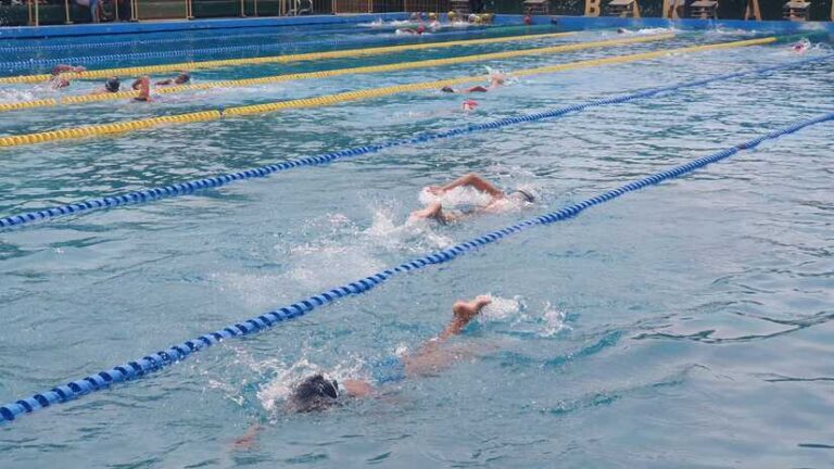Estudiantes de primaria participan en torneo de natación