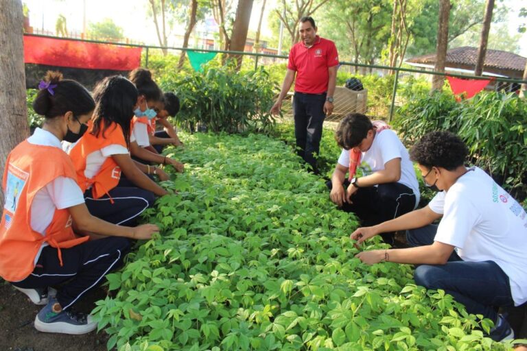 Familias inauguran vivero municipal