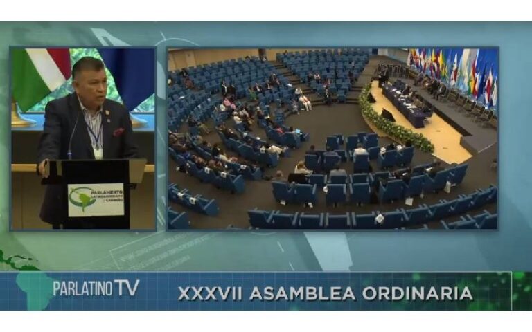 Nicaragua seguirá defendiendo la democracia y la no intervención, sostiene Wilfredo Navarro