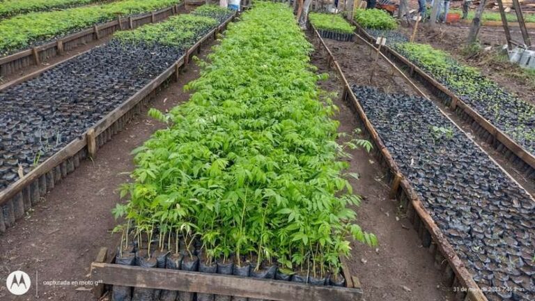 Inauguran Vivero Forestal “Raúl Escorcia” en Estelí y Somoto