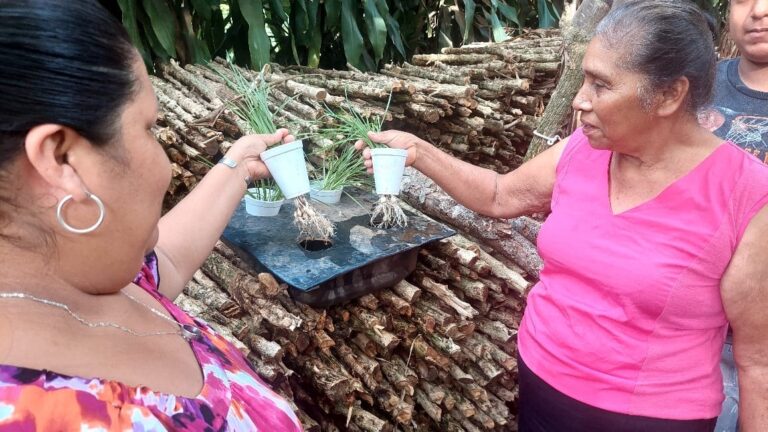 Productores reciben curso sobre sistemas hidropónicos