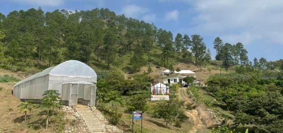 Nueva Segovia cuenta con un Centro de Desarrollo de Tecnologías Agropecuarias