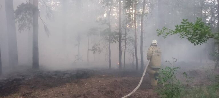 Incendio forestal en Kazajistán deja 15 muertos