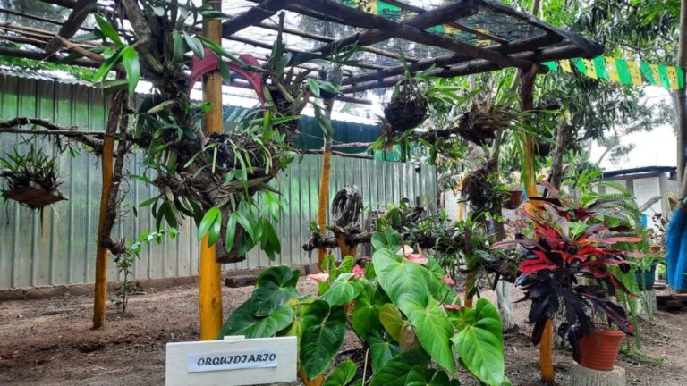 Inauguran en Nueva Segovia un Centro para producir alimentos sanos