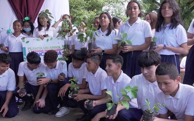 Estudiantes de secundaria crean un huerto con plantas medicinales
