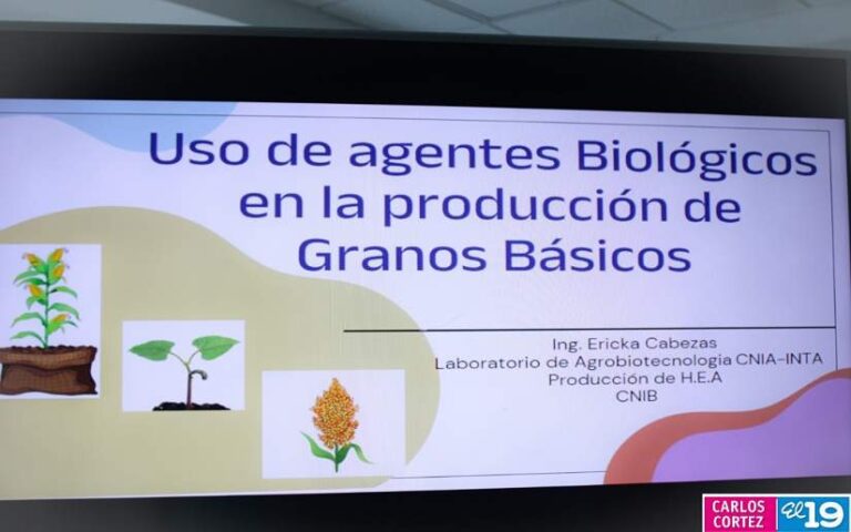Brindan charla sobre el uso de agentes biológicos en la producción de granos básicos