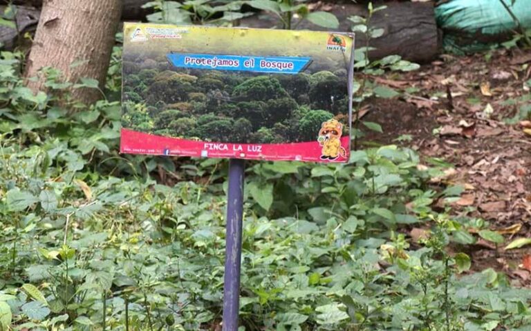 Inauguran remodelación de la Finca La Luz