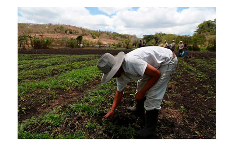 CNU continúa realizando capacitaciones en tecnologías agropecuarias