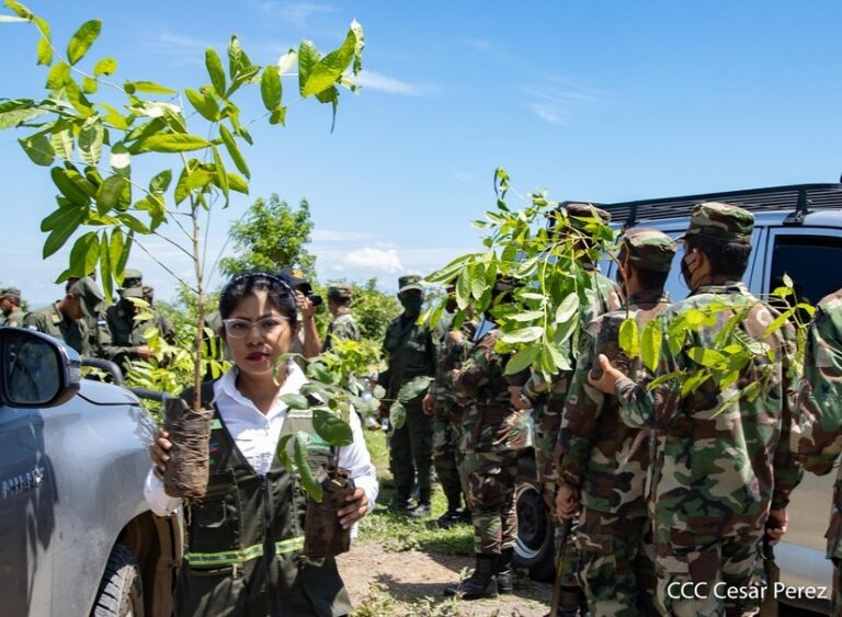 MARENA siembra 2 mil plantas en la Reserva Natural Península de Chiltepe