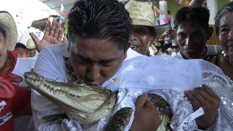 Alcalde mexicano se casa con un caimán