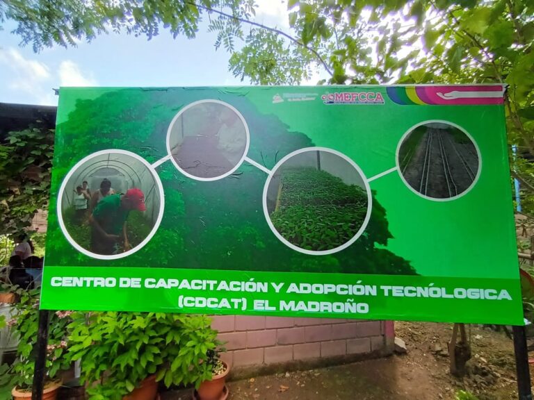 Inauguran el Centro de Desarrollo de Capacidades y Adopción de Tecnologías