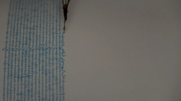 Sismo de 6.5 grados sacude el sur de México