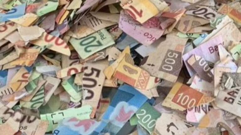 Joven se queda sin sus ahorros por culpa de su pequeña prima