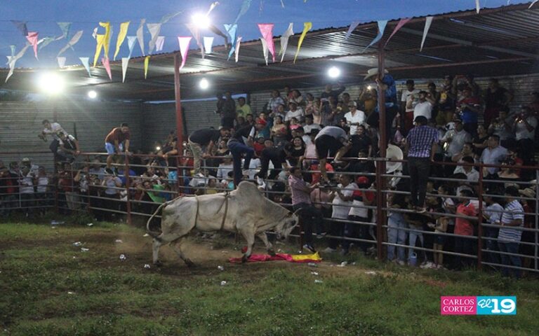 En honor a Santo Domingo de Guzmán inician fiestas de Toro en Managua