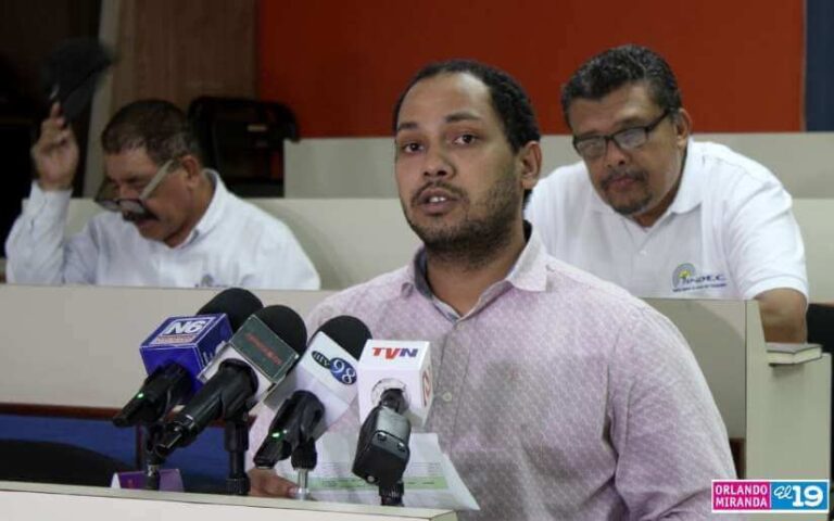 Variedad de productos de la canasta básica disminuyen su precio