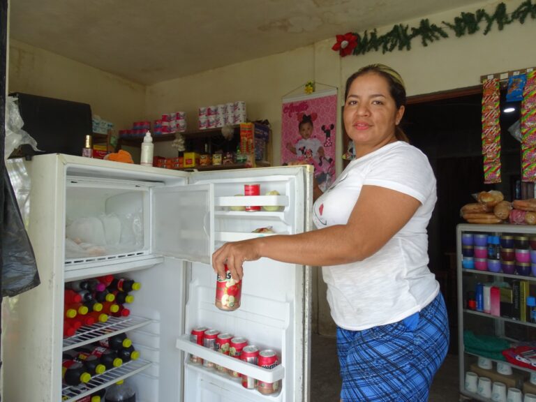 Más familias de Telpaneca cuentan con energía eléctrica