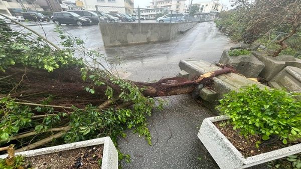 Tifón Khanun deja 1 muerto y 11 heridos en Japón