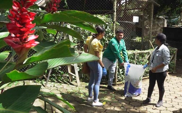 Realizan jornada de embellecimiento en el Parque Zoológico Nacional