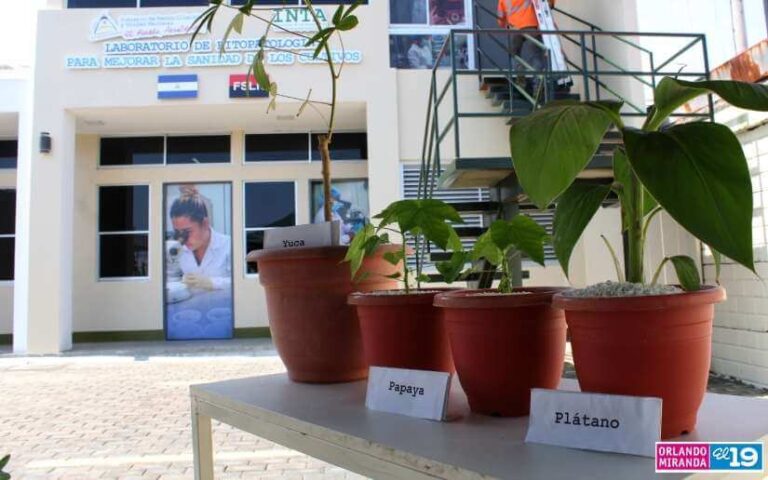 Inauguran laboratorio de Fitopatología