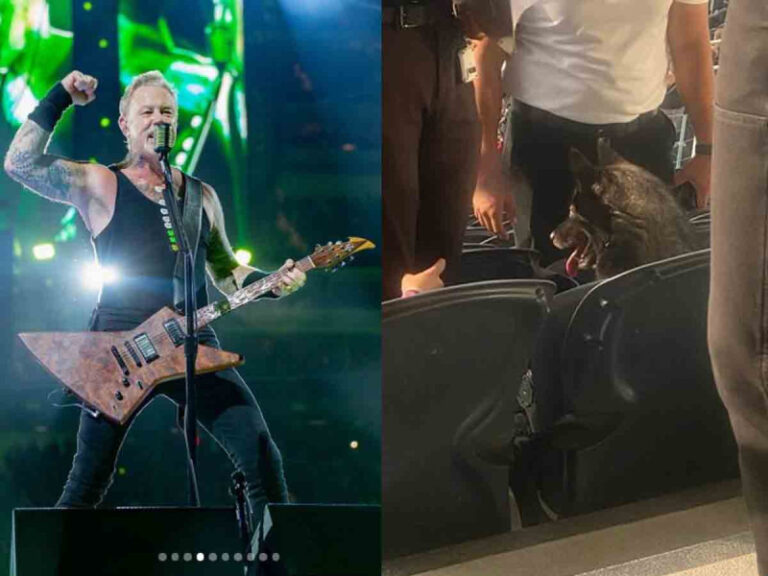 Perrita se escapa de su casa y la encuentran en un concierto de Metallica