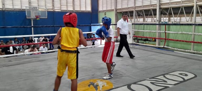 Realizan velada boxística en Granada