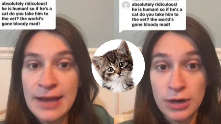 Denuncia que una veterinaria se negó a atender a su hijo que se considera gato