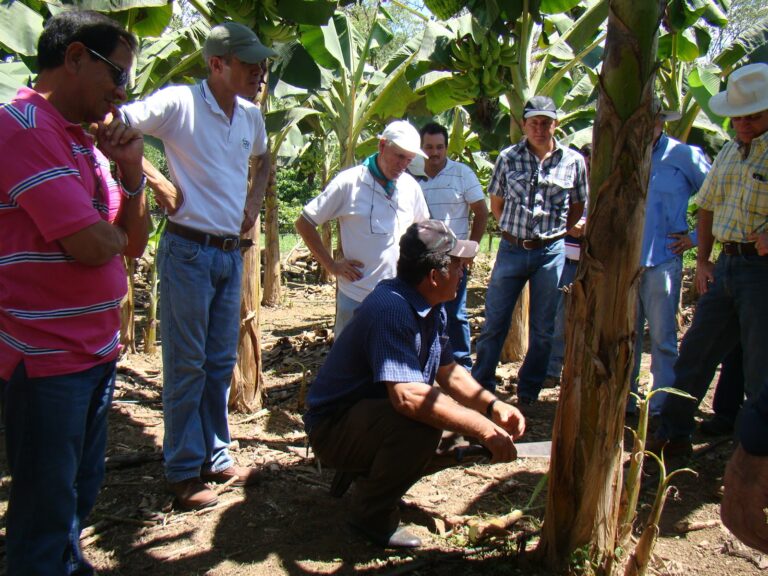 Nicaragua dispone de 43 Centros de Desarrollo Tecnológicos Agropecuarios