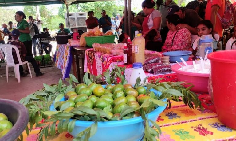 Macuelizo celebra “Feria Municipal del Jocote”