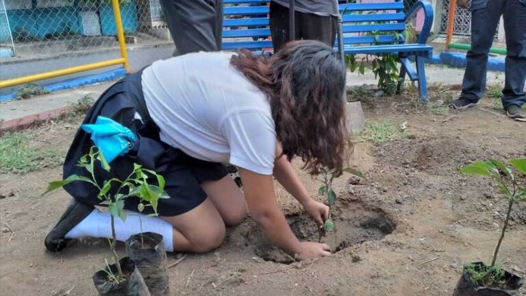 Estudiantes participan en jornada de embellecimiento con la siembra de árboles