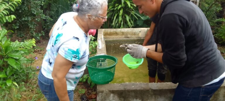 Taller Práctico sobre técnicas de sexado en peces