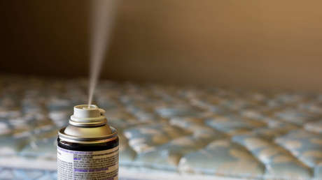 Francia cierra 7 escuelas por plaga de chinches