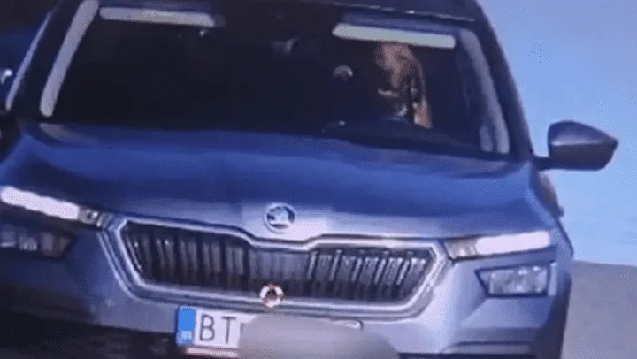 Multan a un canino por ir a exceso de velocidad