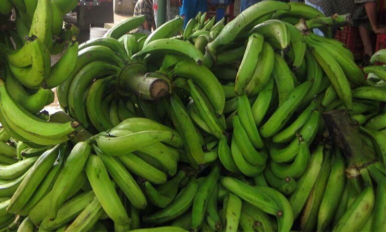 El 27 de octubre se celebrará en Macuelizo la Feria del Plátano