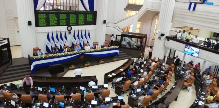 AN elige a presidente y miembros directivos de INE