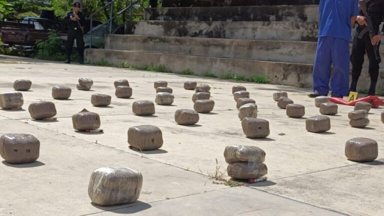 Incautan 100 libras de marihuana en Jalapa