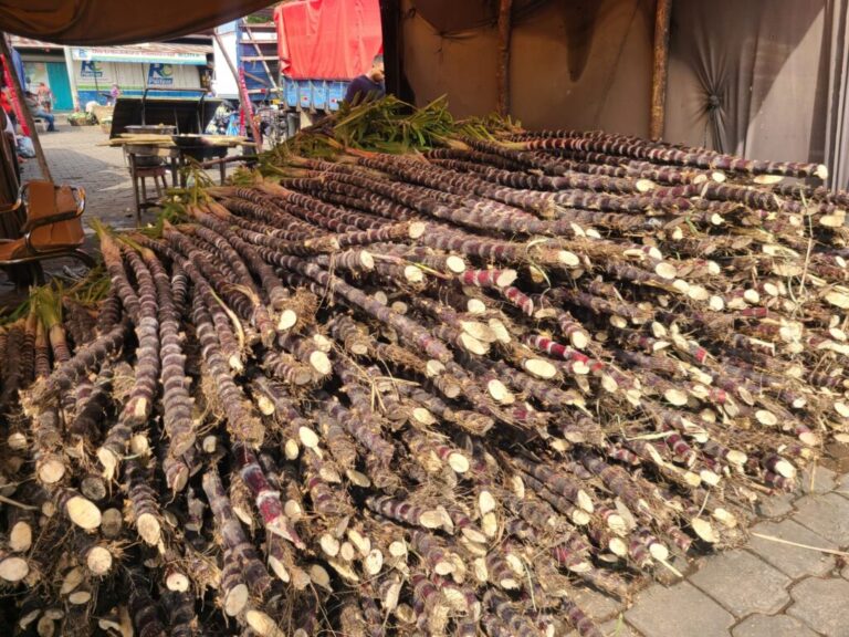 Mercado Mayoreo con variedad de productos para las festividades marianas