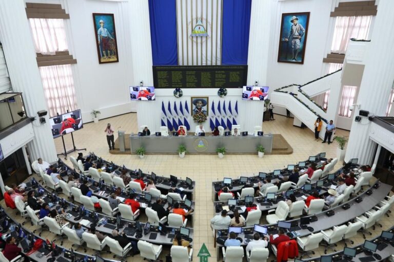 Actualizan el Digesto Jurídico en Materia de Seguridad y Defensa Nacional