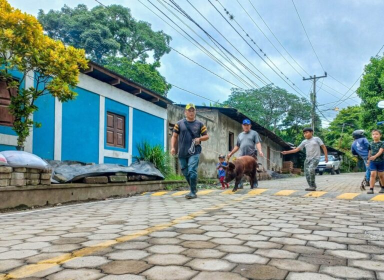 Mejoramiento Vial llega al barrio Anexo San Miguel en Santa Lucía