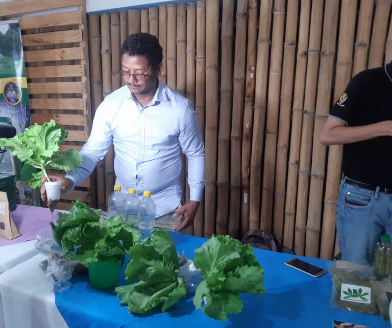 MEFCCA promueve la tecnología en Patios Saludables