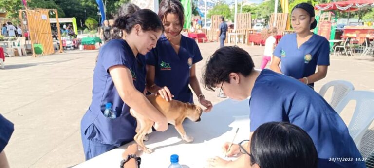 Realizan jornada de atención médica veterinaria en Mateare