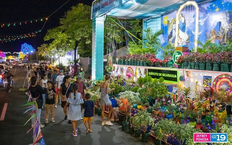 Familias devotas visitan Altares a la Purísima Concepción de María