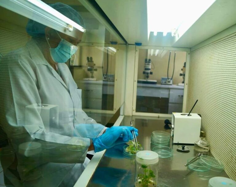 Nueva Guinea cuenta con laboratorio para atender raíces y tubérculos